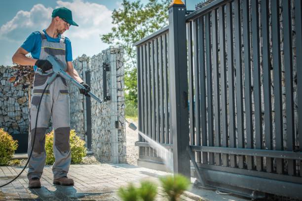 Boat and Dock Cleaning in Almont, MI