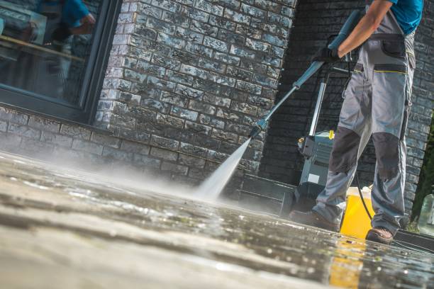 Best Dumpster Area Cleaning  in Almont, MI