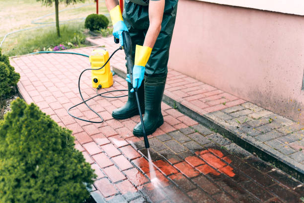 Best Parking Lot and Garage Cleaning  in Almont, MI